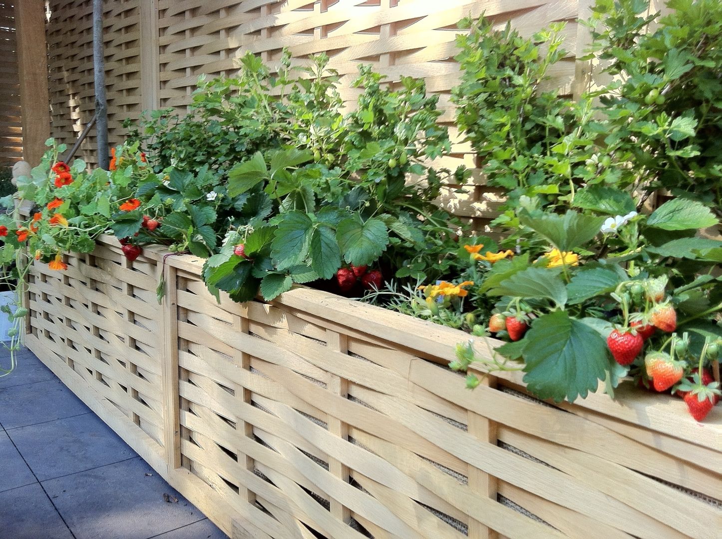 raised beds border edging Quercus UK Ltd Minimalist style garden