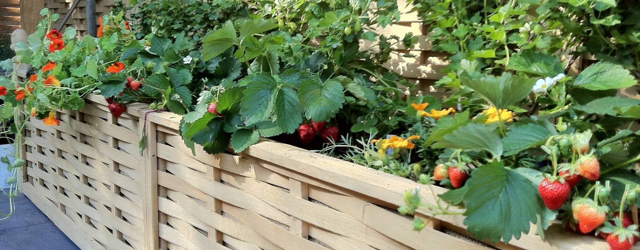 raised beds border edging Quercus UK Ltd Minimalist style garden