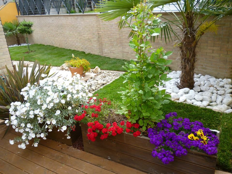 Photos, homify homify Modern Garden