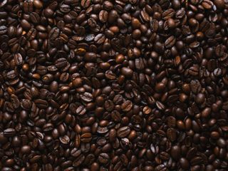 EA20250317-23596 Press profile homify Rustic style gym Ingredient, Java coffee, Food, Produce, Jamaican Blue Mountain Coffee, Bean, Seed, Nuts & seeds, Kona coffee, Instant coffee