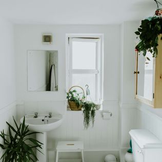 Tub-to-Shower Conversions: Insider Tips for a Flawless Bathroom Remodel