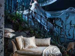 Photos, homify homify Modern Windows and Doors