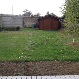 A barren wasteland that became a garden wonderland