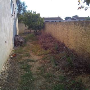 A garden that overcame its limitations