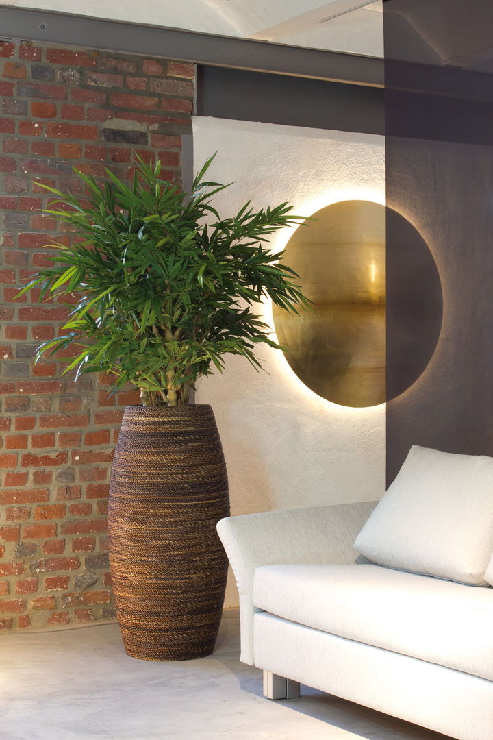 NATURA MAGELLAN Pflanzgefäß homify Interior garden Interior landscaping