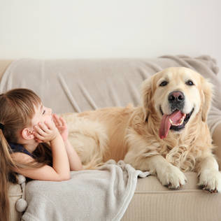 Tips for Picking Out Pet-Friendly Furniture