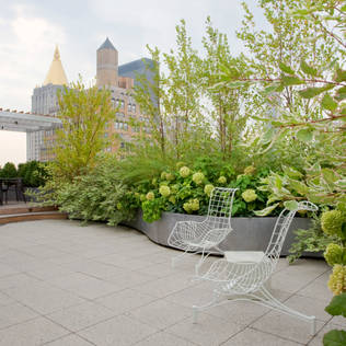 10 winter-prepping tips for your garden 