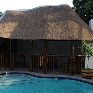 Shun the sun: 7 ways to add more shade to your garden 