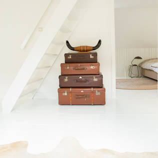 10 things people with a clean house always do