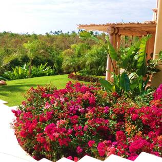 7 quick and easy landscaping for your front yard  