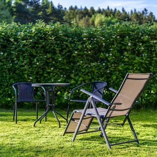 How to Spruce up your Garden in no Time at All